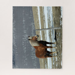 Coroa Belga, Quebra-cabeça De Paddock Jigsee