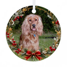 Coroa de Natal com Foto Personalizada do Animal de