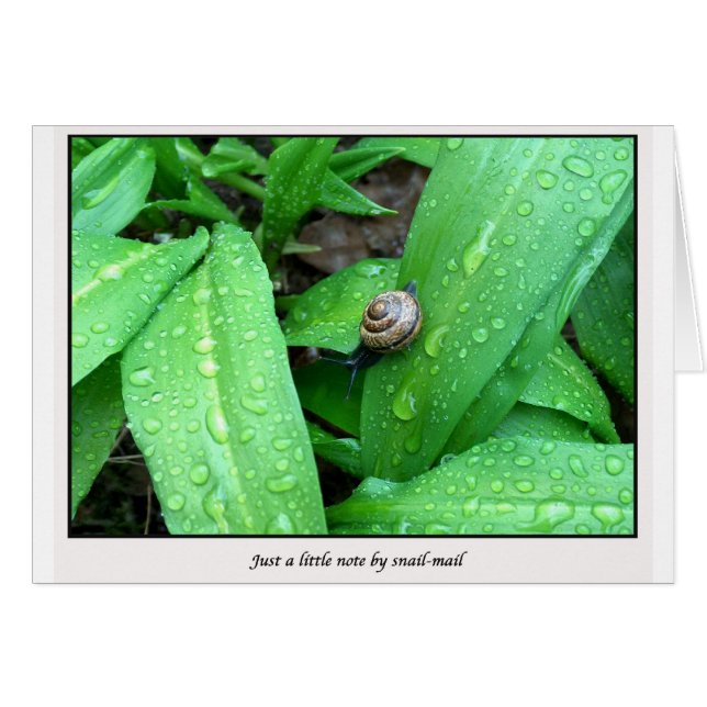 correio postal (Frente Horizontal)