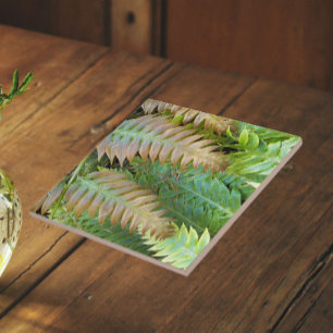 Corrente Fern Frontal Floral