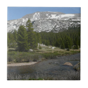 Corrente montanhosa de alto país II em Yosemite