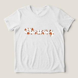 Correspondência da Família de Sobrenomes Chang Hmo