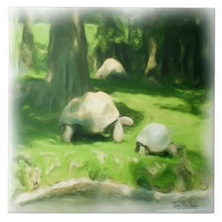Corrida de Tortoise