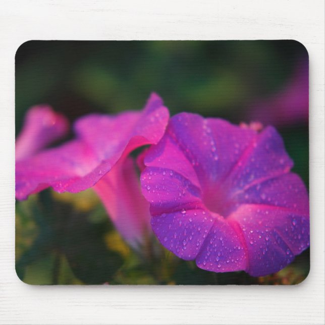 Corriola Mousepad (Frente)