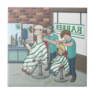 Corte de cabelo de alpaca
