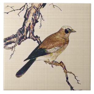 Corte japonês de um finch, Brown e Beige