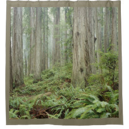 CORTINA PARA BOX A FLORESTA