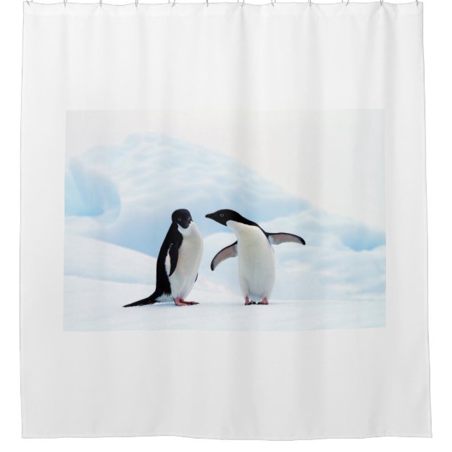 Cortina Para Box Adelie Penguins (Frente)