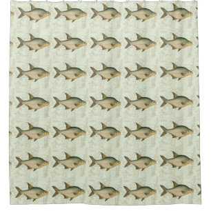 Cortina Para Box Água fresca Peixe no Mapa