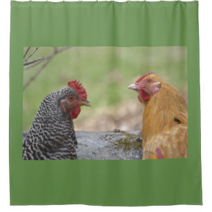Cortina Para Box Alerta de Falcão de Frango