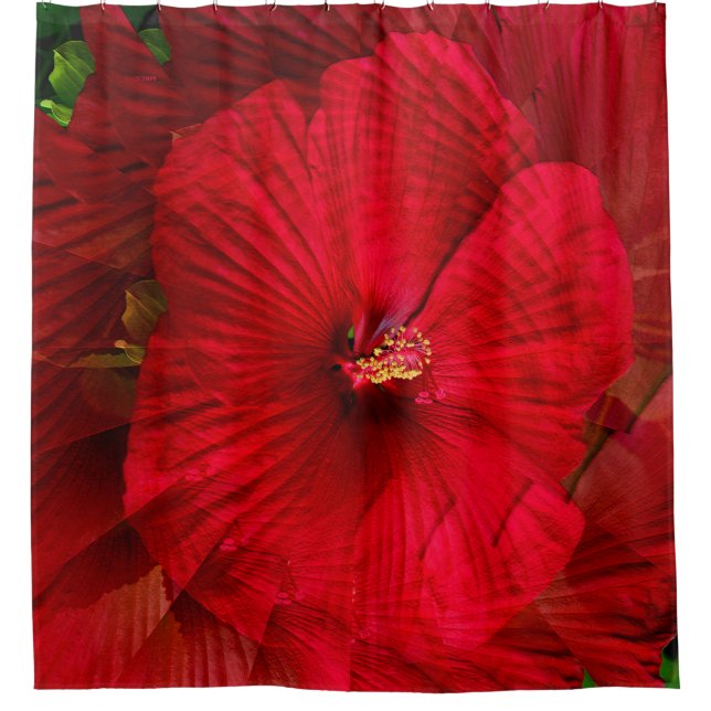 Cortina Para Box Amor de Hibiscus... (Frente)