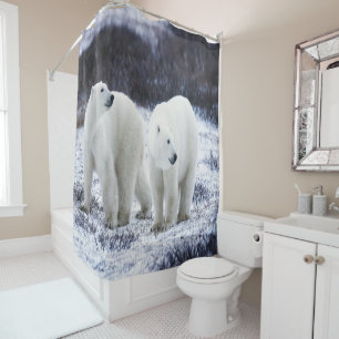 Cortina Para Box Amor do urso polar