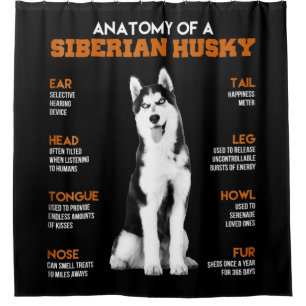 Cortina Para Box Anatomia de um cão siberiano Husky Arte engraçad