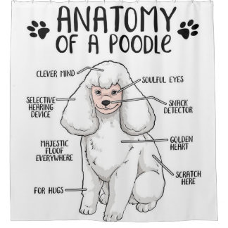 Cortina Para Box Anatomia De Um Poodle Lover Gift
