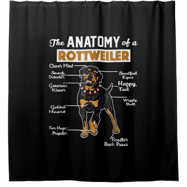 Cortina Para Box Anatomia de um Rottweiler (Frente)
