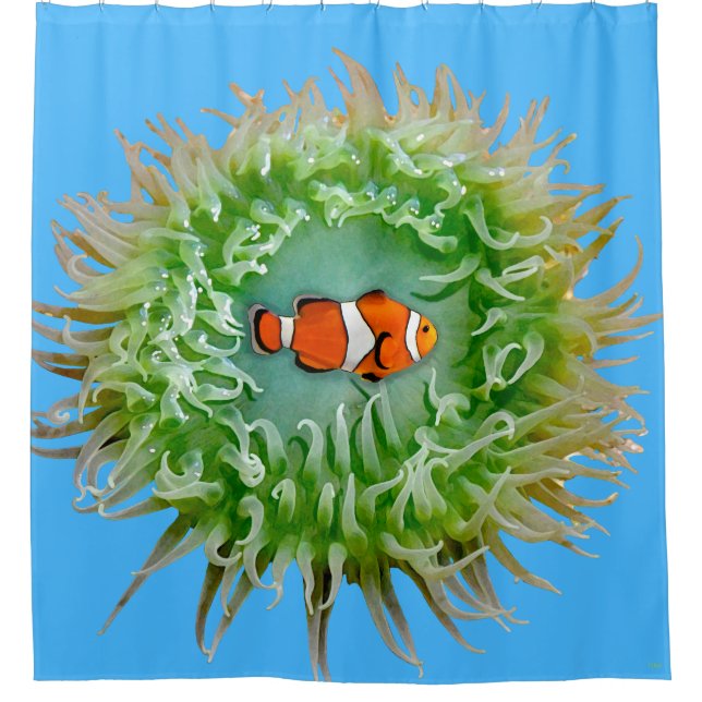 Cortina Para Box Anemone (Frente)