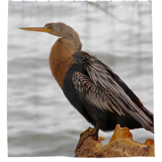 Cortina Para Box Anhinga de Vigília (Frente)