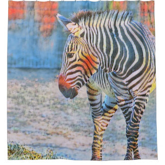 Cortina Para Box Aquarelas - Zebra