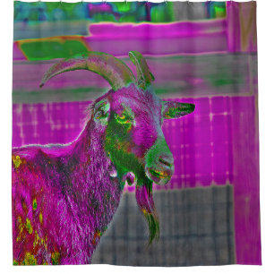 Cortina Para Box Arte de Goat