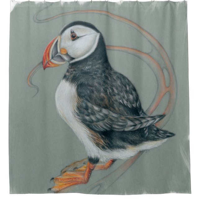 Cortina Para Box Atlantic Puffin Bird Art Drawing (Frente)