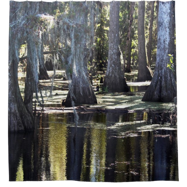 Cortina Para Box Bald Cypress Trees (Frente)