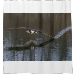 Cortina Para Box Bald Eagle em Voo