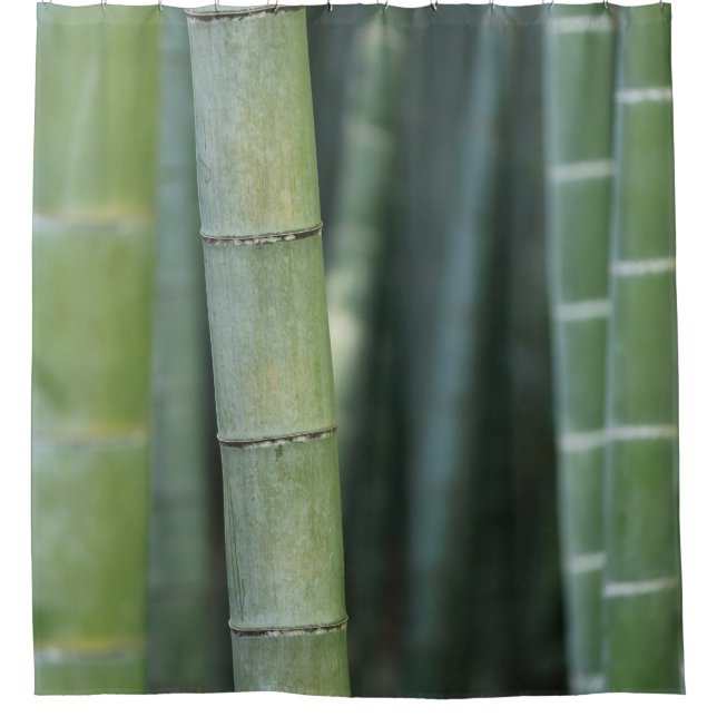 Cortina Para Box Bambu verde (Frente)