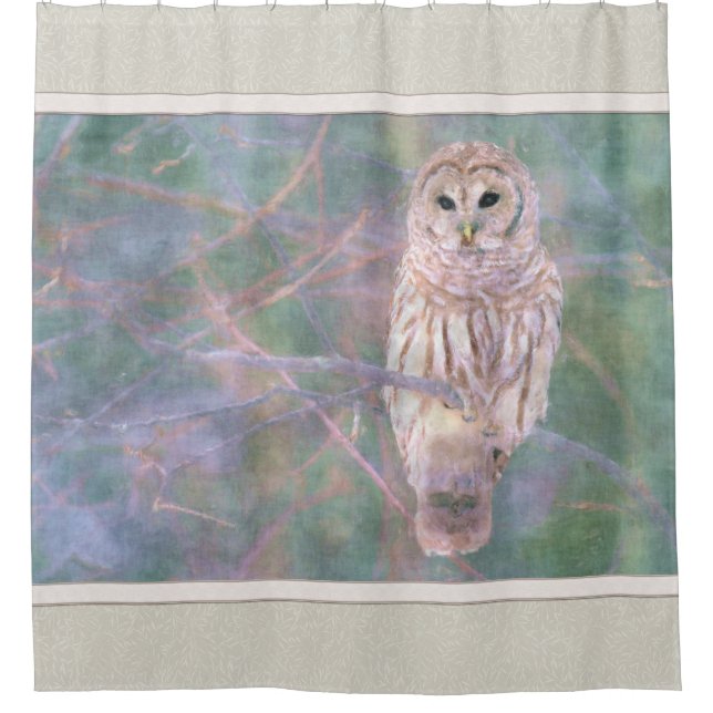 Cortina Para Box Barred Owl Pastel Oilpainting (Frente)