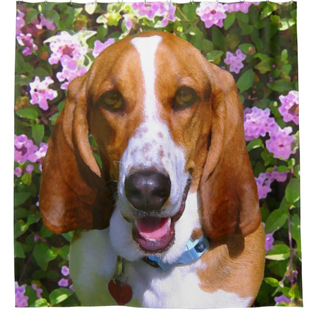 Cortina Para Box Basset Hound feliz (Frente)