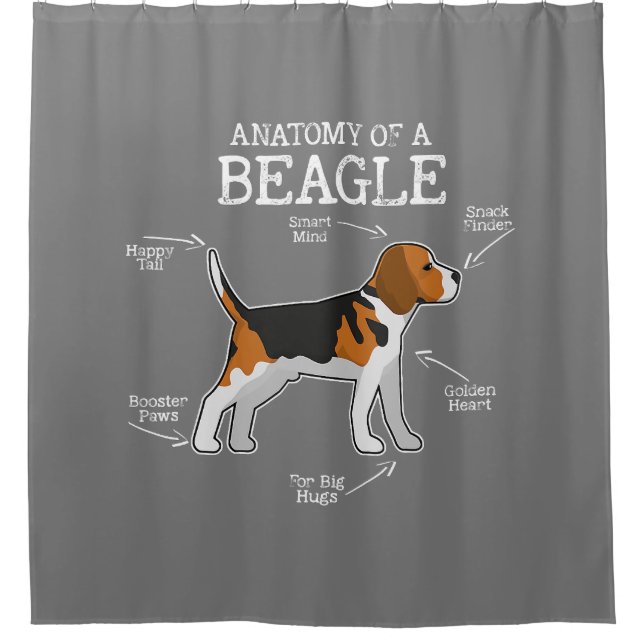 Cortina Para Box Beagle Lovers/ Anatomia De Um Beagle (Frente)