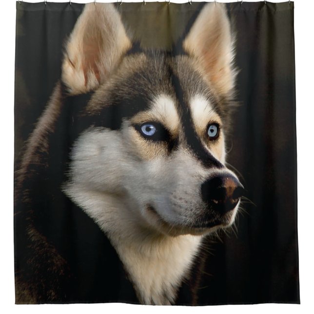 Cortina Para Box Beautiful Husky Throw Pillow (Frente)