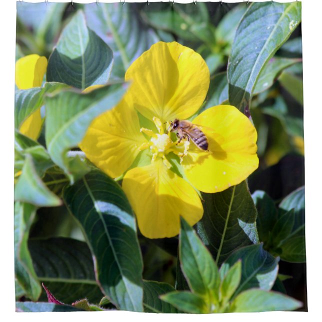 Cortina Para Box Bee-ing Productive (Frente)