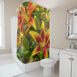 Cortina Para Box Beleza Floral Canadense, Orange Daylily