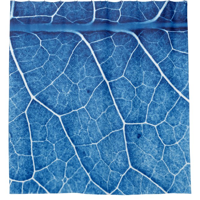 Cortina Para Box Belo fundo de textura de encerramento da planta (Frente)