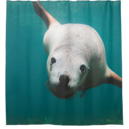 Cortina Para Box Belo Leão do Mar