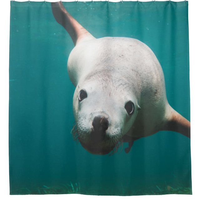 Cortina Para Box Belo Leão do Mar (Frente)