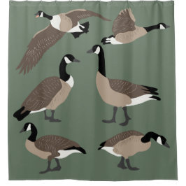 Cortina Para Box Bird Lover Canada Geese Illustration Sage Green