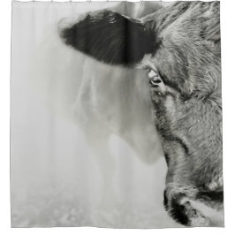 Cortina Para Box Black Baldie