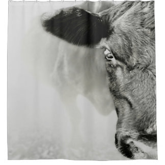 Cortina Para Box Black Baldie