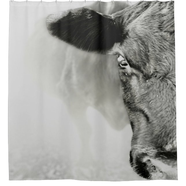 Cortina Para Box Black Baldie (Frente)