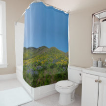 Bloom de Primavera no alto deserto