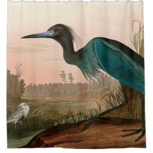 Cortina Para Box Blue Crane ou Heron Birds of America Audubon Impre