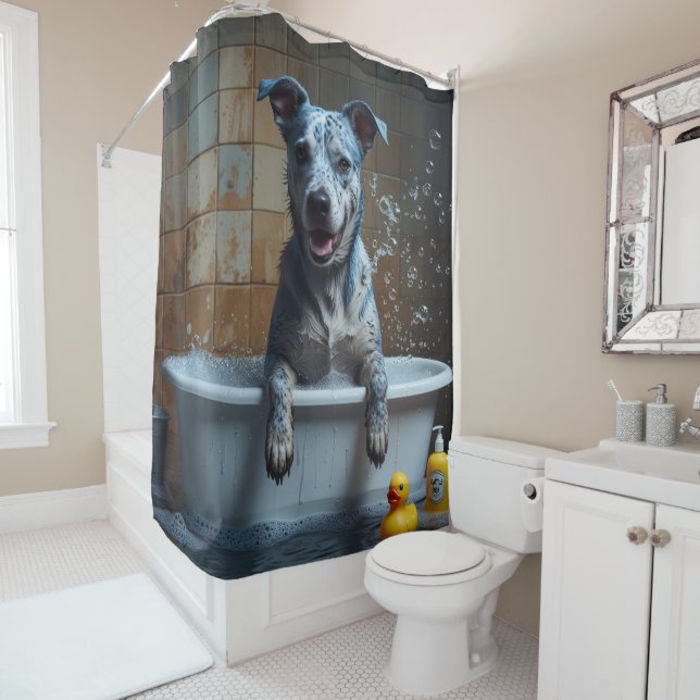 Cortina Para Box Blue Heeler Desleixado Sonolento Fofo Engraçado  (In Situ)