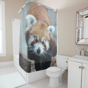 Cortina Para Box Bonito