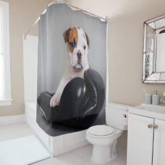 Cortina Para Box Bonito Bulldog Boxer English Bulldog Gift