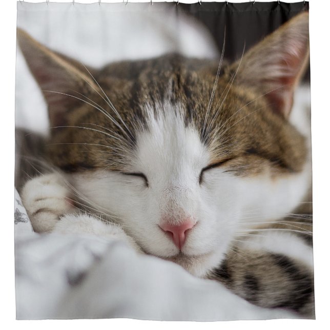 Cortina Para Box Bonito Nap de Gato (Frente)