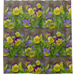 Cortina Para Box Bonito Pansy