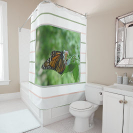 Cortina Para Box Borboleta Rosa Verde Listra Monarca