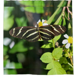 Cortina Para Box Borboleta Zebra Longwing