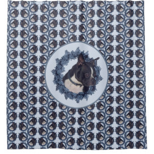 Cortina Para Box Boston Terrier Dog Animal